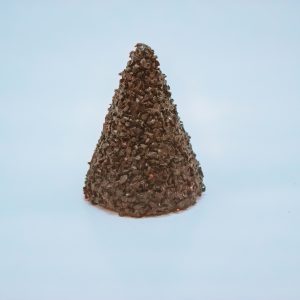 Carbide Cone